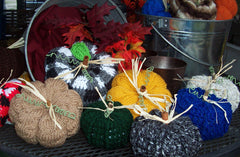 Fall Pumpkins
