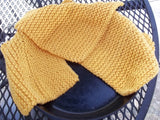 Knitted Dish Cloth