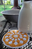 Granny Circle Pot Holder