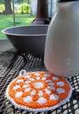 Granny Circle Pot Holder