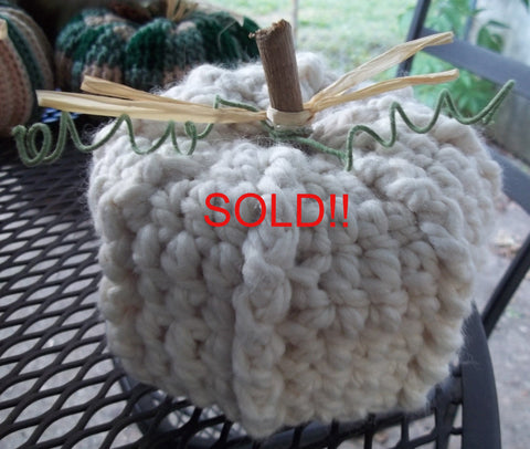Fall Pumpkin