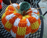 Fall Pumpkin