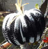 Fall Pumpkin