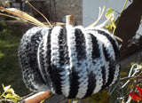 Fall Pumpkin