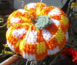 Fall Pumpkin